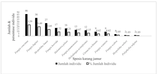Gambar  3.  Grafik  jumlah  dan  persentase  individu  tiap  jeniskarang  jamur  lokasi  penelitian perairan Pulau Haruku, April 2014