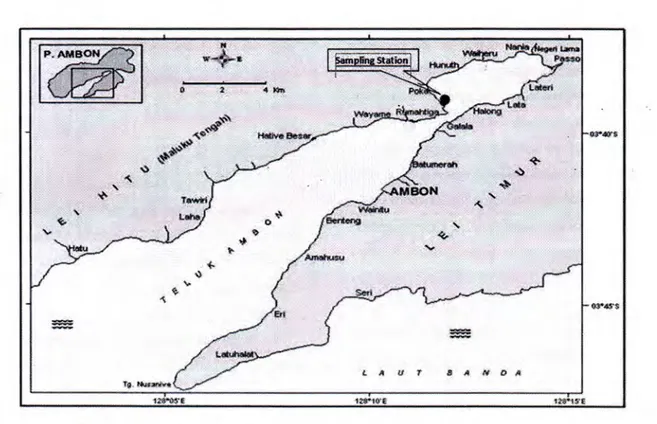 Gambar 1. Peta lokasi penelitian di perairan Tanjung Tiram-Teluk Ambon Dalam