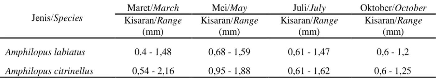 Tabel 4. Hubungan fekunditas dengan panjang total dan berat tubuh ikan A. citrinellus bulan Maret, Mei, Juli dan Oktober 2011