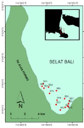 Gambar 7. Korelasi SPL dan klor-a di selat Bali. Figure 7. Corellation of SST and chlorophyl-a in Bali strait.