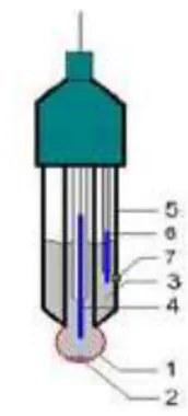 Gambar 4 Skema elektroda sensor pH. 