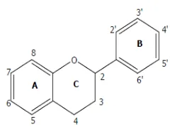 Gambar 1. Struktur Flavonoid 