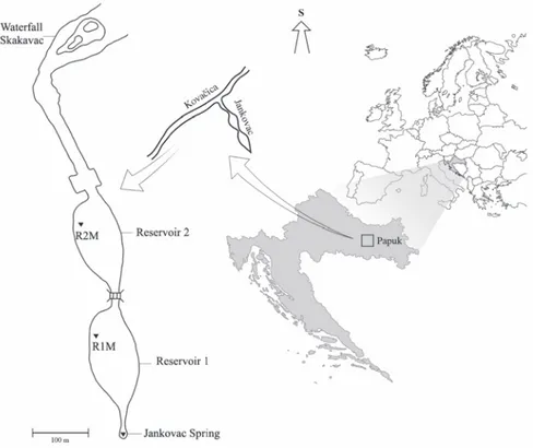 Figure 1. Map of study area with marked sampling sites R1M and R2M  (R1M – vegetated area of reservoir 1, R2M – vegetated area of reservoir 2)