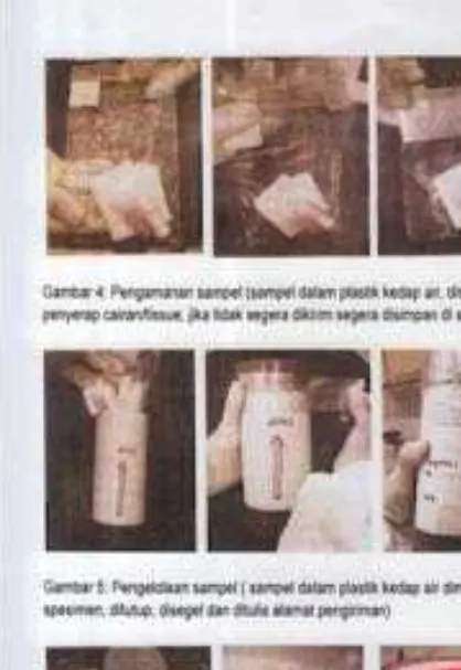 Gambar 4: Pengamanan sampel (sampel dalam plastik kedap air, disisipi kertas 