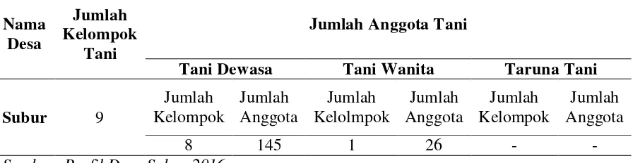 Tabel 1.2 Karakteristik kelompok Tani Jaya Desa Subur Kecamatan Air Joman Kabupaten Asahan 