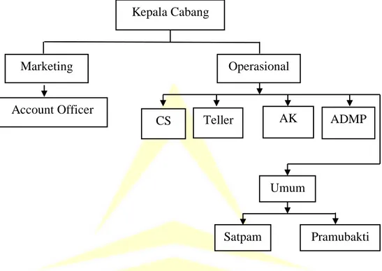 Gambar 3.3. Struktur Organisasi BPRS BAS KC Purwokerto   
