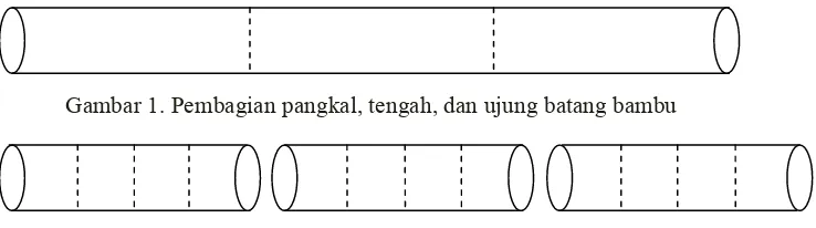 Gambar 1. Pembagian pangkal, tengah, dan ujung batang bambu 