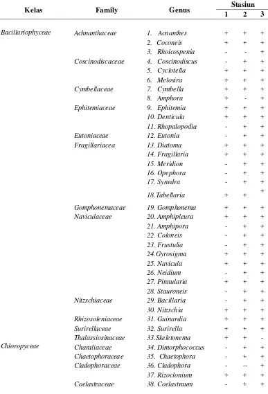 Tabel 5. Klasifikasi Bentik Alga yang diperoleh pada Setiap Stasiun 