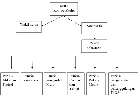 Gambar 1. Struktur Organisasi Komite Medik Rumah Sakit Umum Haji Medan 