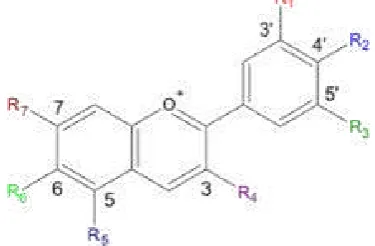 Gambar 2. Struktur Antosianin