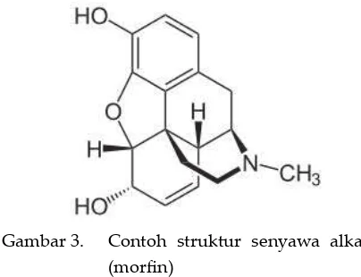 Gambar 3. Contoh struktur senyawa alkaloid 
