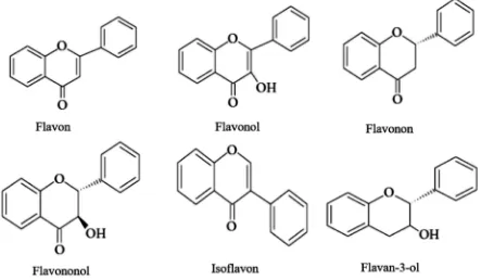 Gambar 5. Kelompok flavonoid berdasarkan strukturnya