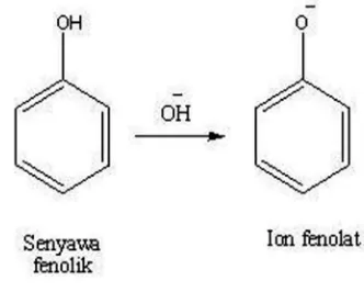 Gambar 6. Struktur senyawa fenolik