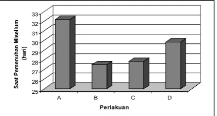 Gambar 1: Bibit jamur tiram yang telah 