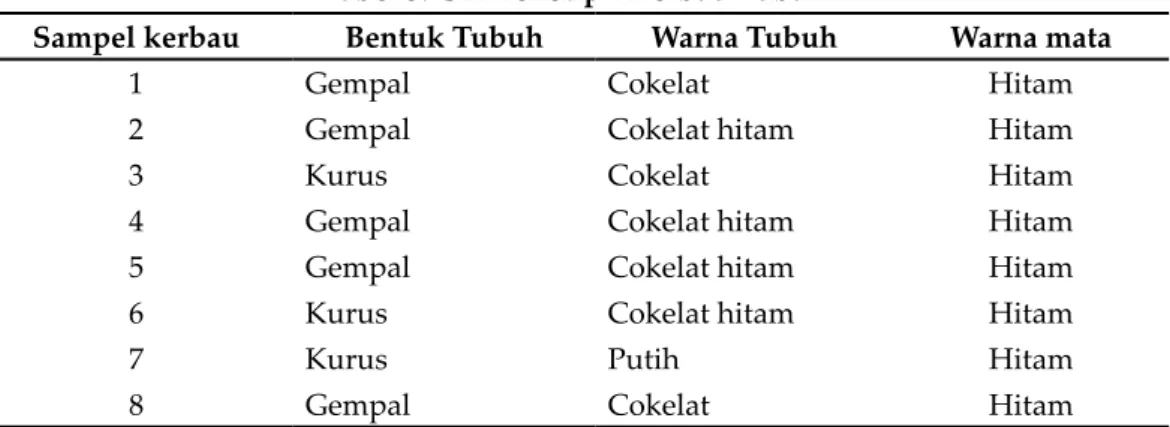 Tabel 5. Ciri Fenotip I Kerbau Tuban