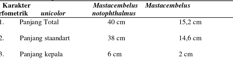 Tabel 4. Hasil Pengamatan Karakter Morfometrik 