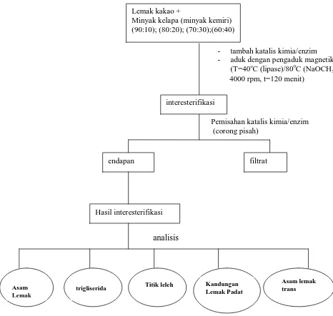 Gambar  3.1   Diagram Alir Proses Interesterifikasi Lemak kakao dengan Minyak    Kelapa                        atau Minyak Kemiri dengan Katalis Kimia/Enzim  