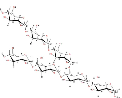 Gambar II.2. Struktur dari starch : (a) amylose (b) amylopectin  (Chaplin,2006) 