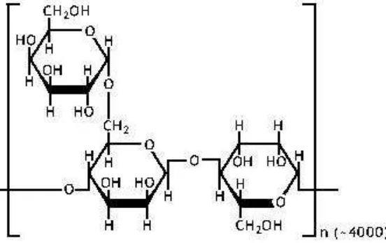 Gambar 1. Struktur kimia gum arab 