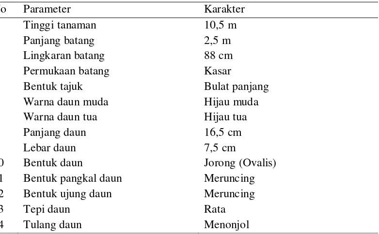 Gambar 3. Karakter morfologi tanaman Asam gelugur di Desa Sukarende Kecamatan Pancurbatu Kabupaten Deli Serdang: (a) pohon Asam gelugur, (b) batang, (c) daun, (d) bunga, (e) buah, (f) daging buah 