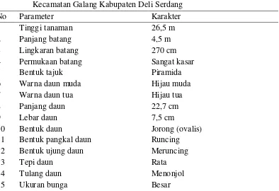 Gambar 11. Karakter morfologi tanaman Asam gelugur di Desa Bengkurung Kecamatan Sibolangit Kabupaten Deli Serdang : (a) pohon Asam gelugur, (b) batang, (c) daun, (d) bunga, (e) buah, (f) daging buah 