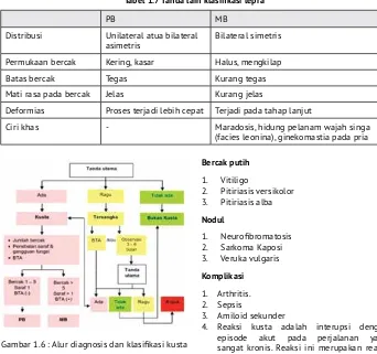 Tabel 1.7 Tanda lain klasifikasi lepra