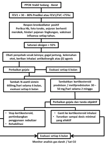 Gambar 2.4. Penatalaksanaan PPOK Stabil Sedang – Berat 