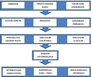 Gambar 2.1 Diagram Patogenesis dan Patofisiologi PPOK. 