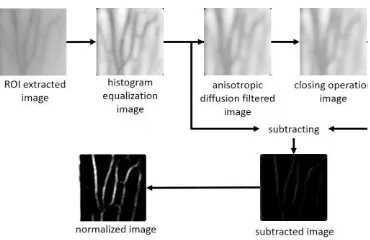 Figure. 2. The dorsal hand vein image acquisition 