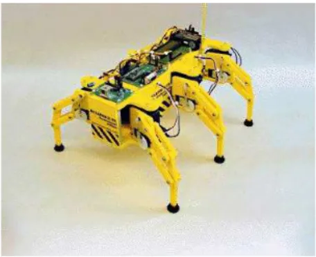 Gambar 2.2 Robot Hexapod 