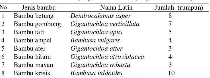 Tabel 2 Jenis bambu yang tumbuh di Kampung Pasir Peundeuy 
