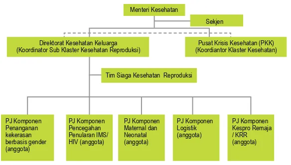 Gambar 6. Struktur Sub Klaster Kesehatan Reproduksi di Tingkat Daerah