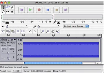 Gambar 3.10. f 100 Hz pada Audacity 