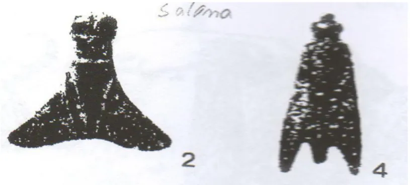 Tablica 5. Cikada fibule (prema A. UGLEŠIĆ, 1996a, 217) 
