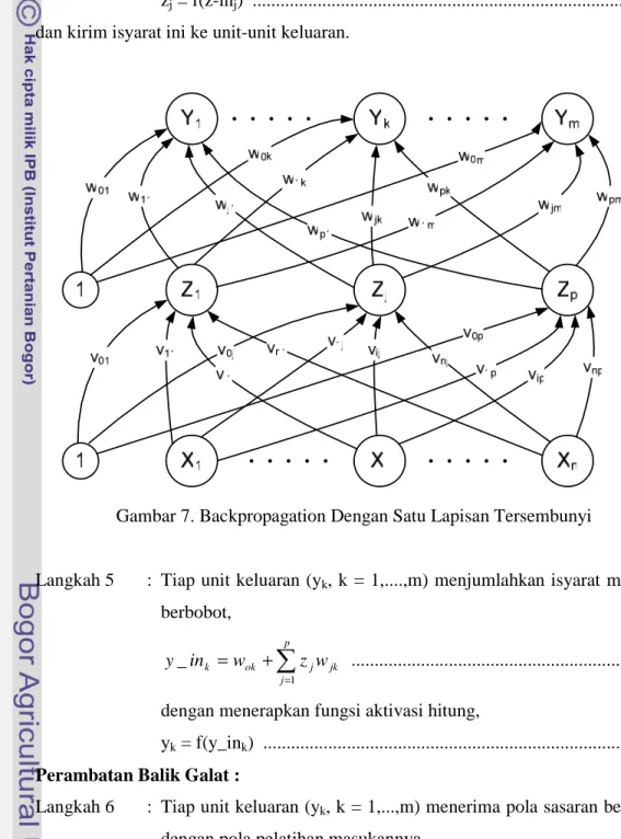 Gambar 7. Backpropagation Dengan Satu Lapisan Tersembunyi 