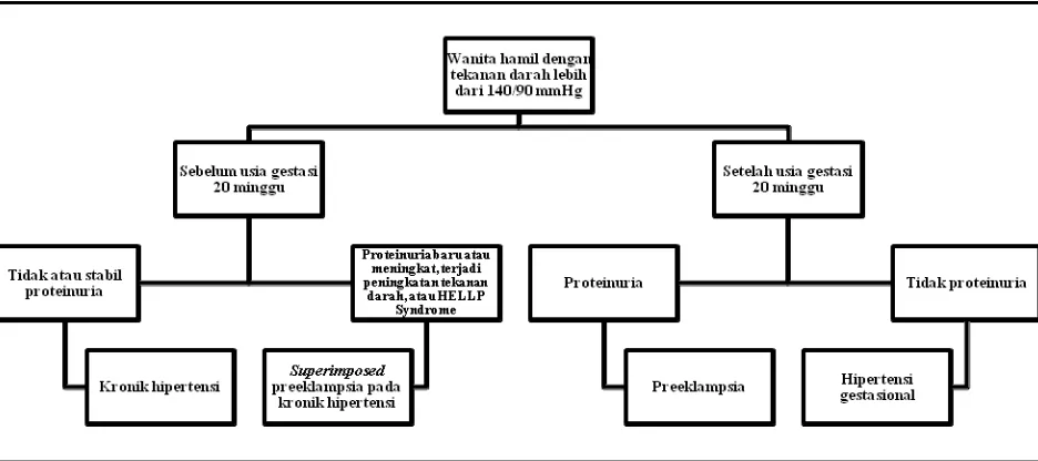 Gambar 1. Algoritma untuk Membedakan Penyakit Hipertensi dalam Kehamilan (Wagner, 2004) 