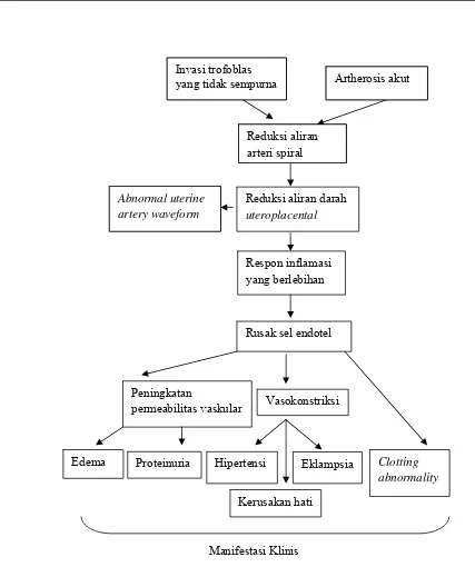 Gambar 2. Patogenesis Preeklampsia (Impey, 2008) 