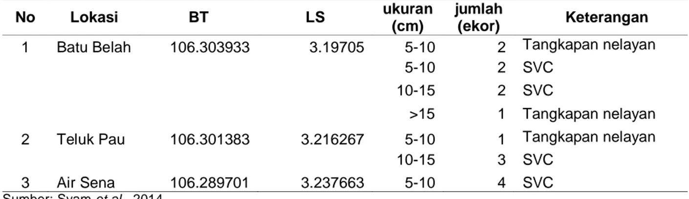 Tabel 2. Lokasi, ukuran dan jumlah ikan napoleon yang ditemukan saat penelitian.