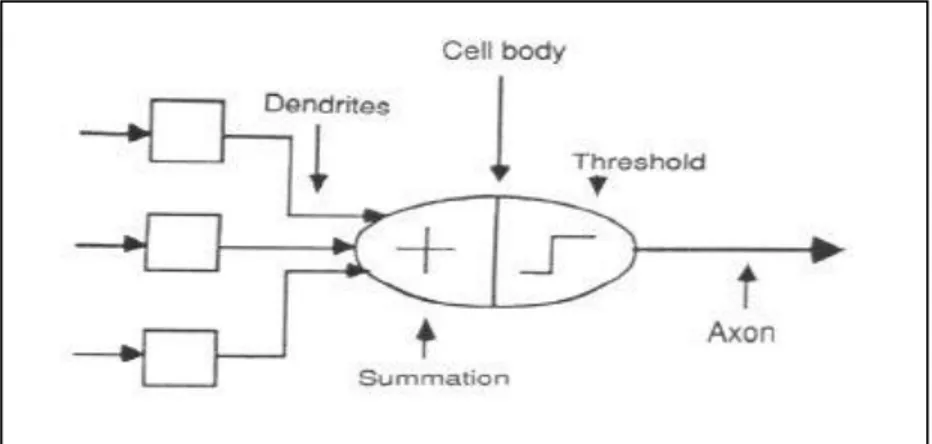 Gambar 2.2: Model Neuron  