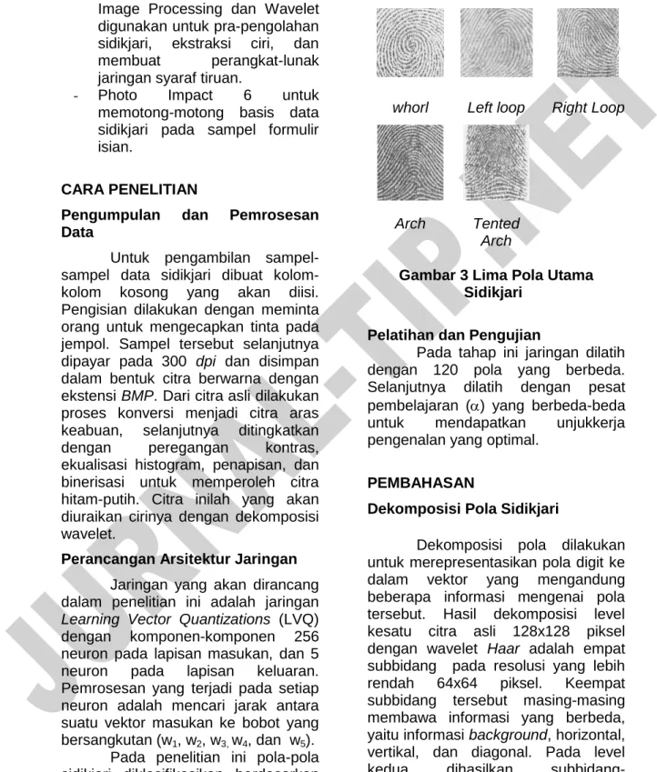 Gambar 3 Lima Pola Utama   Sidikjari 