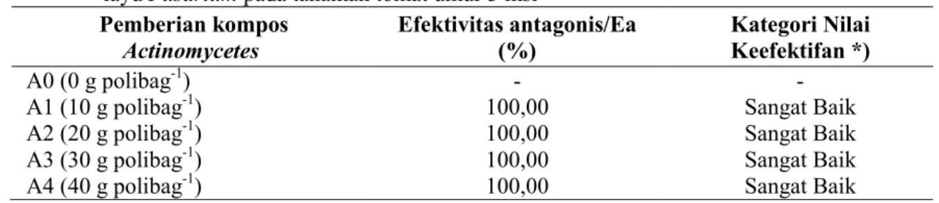 Tabel 3.   Efektifitas actinokompos yang mengangdung  Actinomycetes isolat PK 1 terhadap penyakit  layu Fusarium pada tanaman tomat umur 3 msi  