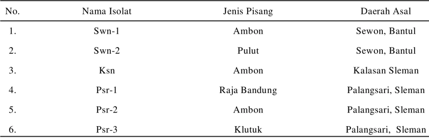 Tabel 1 menunjukkan tiga isolat (Swn-1, Ksn, dan Psr-2) diperoleh dari jenis pisang Ambon dengan lokasi yang berbeda, dan tiga isolat lainnya (Swn-2, Psr-1, dan Psr-3) diperoleh dari tiga  jenis pisang, yaitu pisang  pulut, pisang raja bandung dan pisang k
