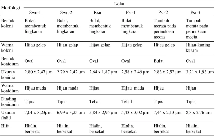 Tabel 3.  Karakteristik morfologi enam isolat Trichoderma endofitik