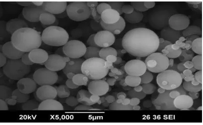 Gambar 8 Hasil uji SEM nano chitosan lobster 