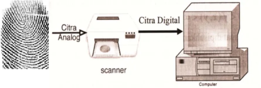 Gambar 2.7 Citra Analog Menjadi Citra Digital 