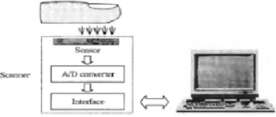 Gambar 2.2  Diagram Dari Scanner Sidik Jari  http://ideatech.stts.edu/prosiding/46.pdf 