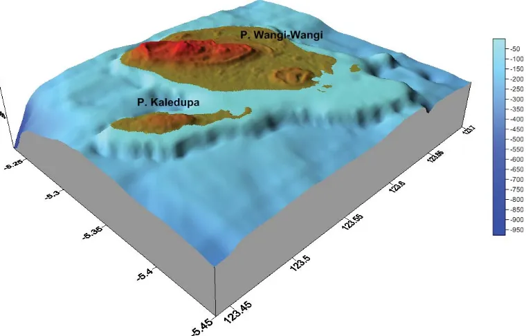 Figure 5. Three-dimensional bathymetry map of Wangi-wangi Island