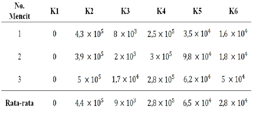Tabel 1. Hasil Perhitungan koloni dengan coloni counter (CFU/ml). 