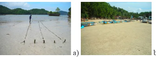 Figure 4. Conditionof unproductive seaweed land in the region (a), raising of the land face causes the boat mooring distance is farther away from TPI Tawang, Sidomulyo Village, Ngadirojo District (b).