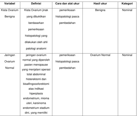 Tabel 3.10. Definisi Operasional 